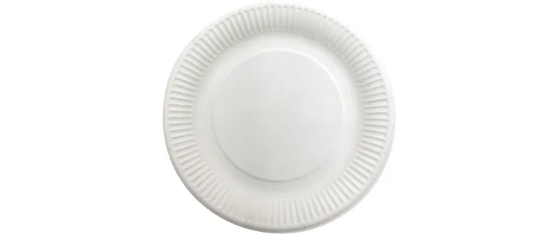 Verive Einwegteller 28 cm, 50 pièces