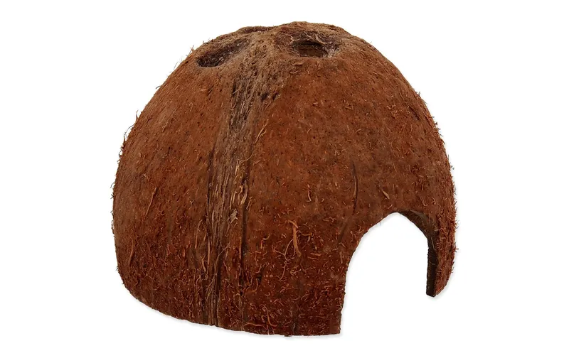 Repti Planet Coco Schale S