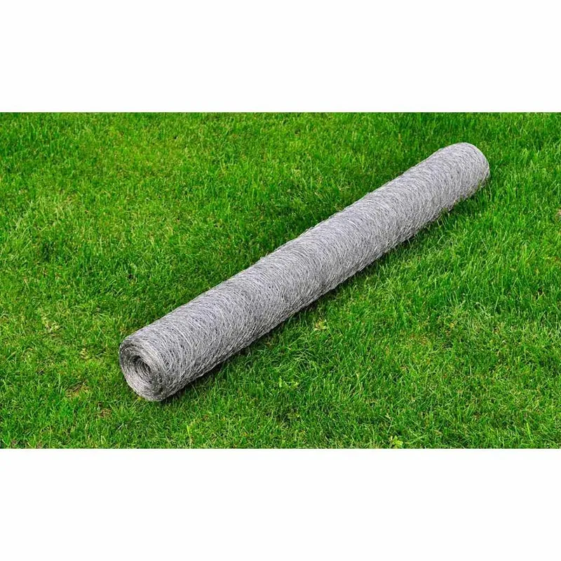 Drahtzaun für Hühner Verzinkter Stahl 25x1 m Silbern