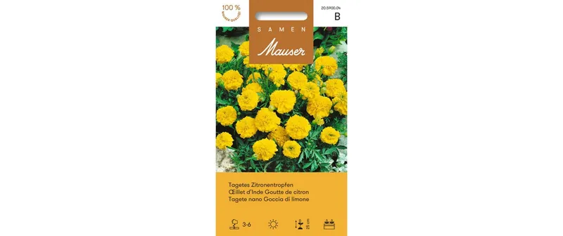Samen Mauser Saatgut Tagetes Zitronentropfen