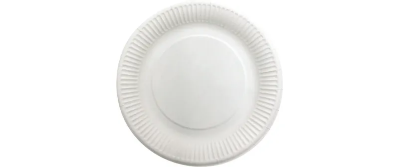 Verive Einwegteller 23 cm, 100 pièces