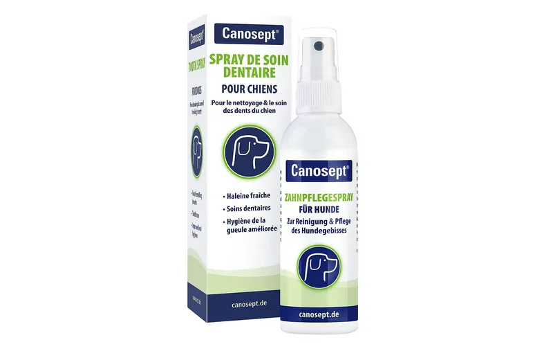 Canosept Zahnreinigung Zahnpflegespray 100 ml