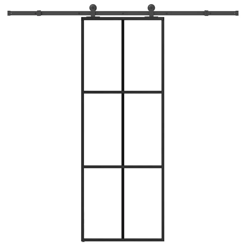 sliding door with Beschlag 76x205 cm ESG-glass & aluminium
