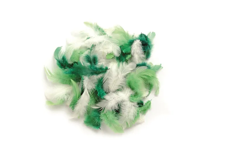 Glorex Federn Deco green