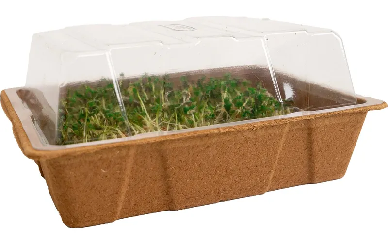 Romberg ECO MINI biologisch abbaubare Zelluloseschalen