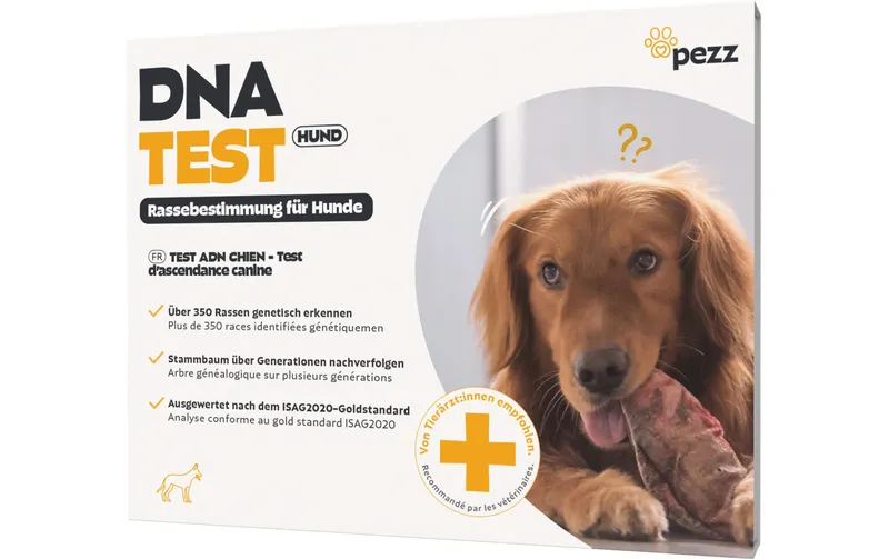 pezz DNA-Test Rassebestimmung für Hunde