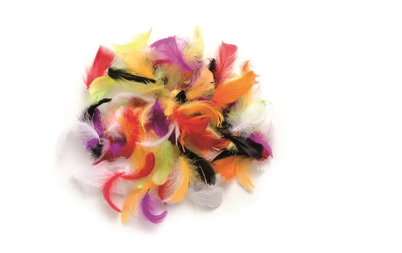 Glorex Federn Deco multicolour