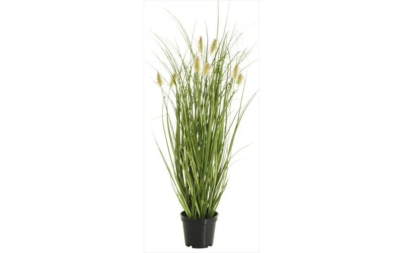 Botanic-Haus Kunstpflanze Fuchsschwanzgras, 46 cm
