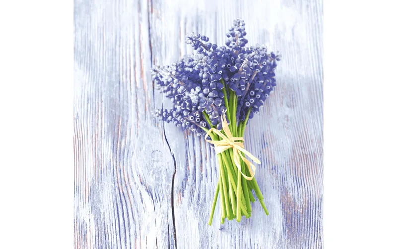 Paper + Design Papierservietten Muscari bundle 33 cm x 33 cm, 20 pieces