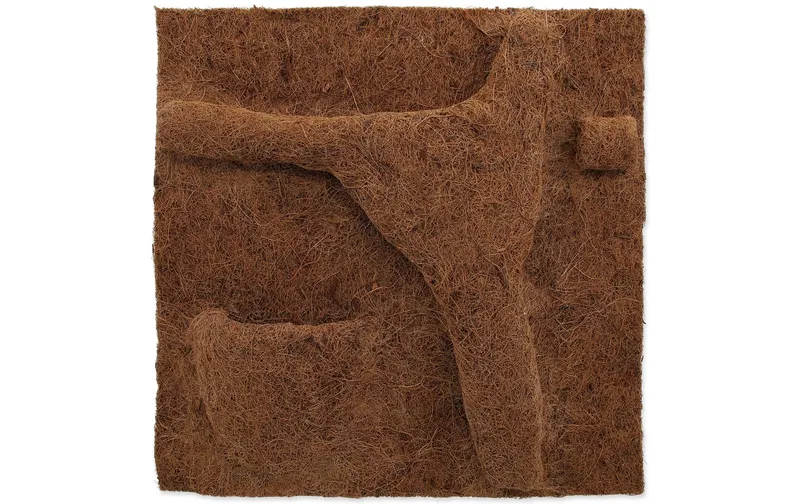 Repti Planet Coco Pflanzgefäss 50 x 50 cm