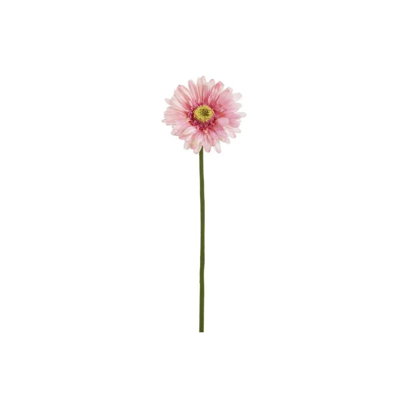 Botanic-Haus Gerbera 57 cm