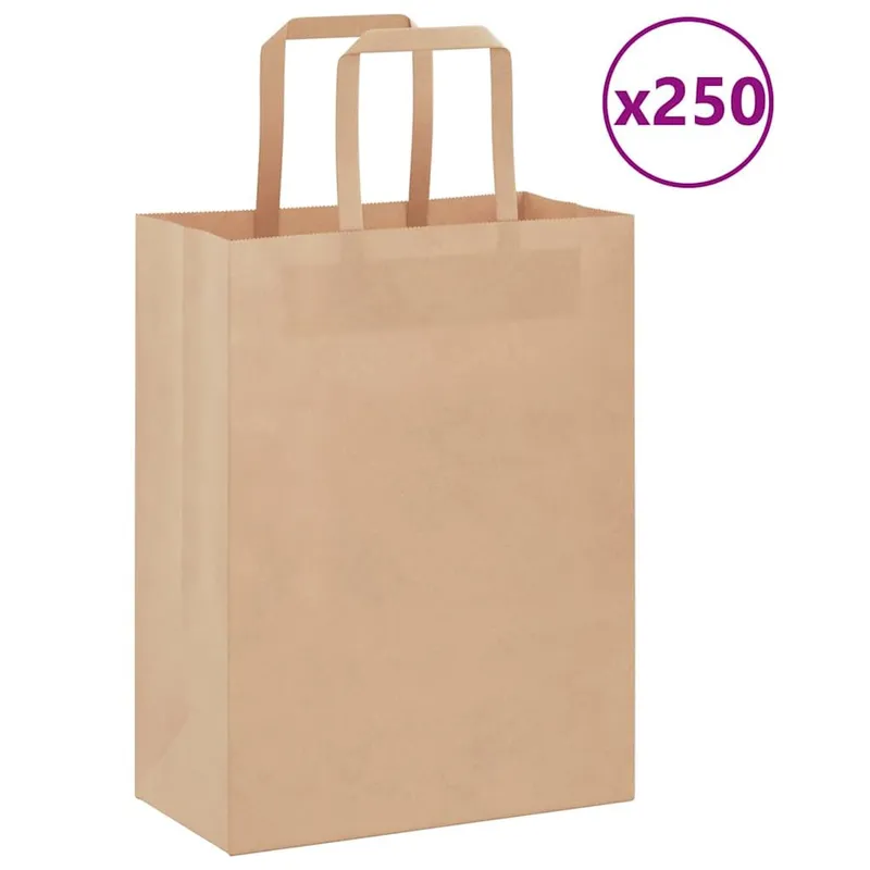 Sacs en papier 250 pcs avec poignées marron 21x11x28 cm