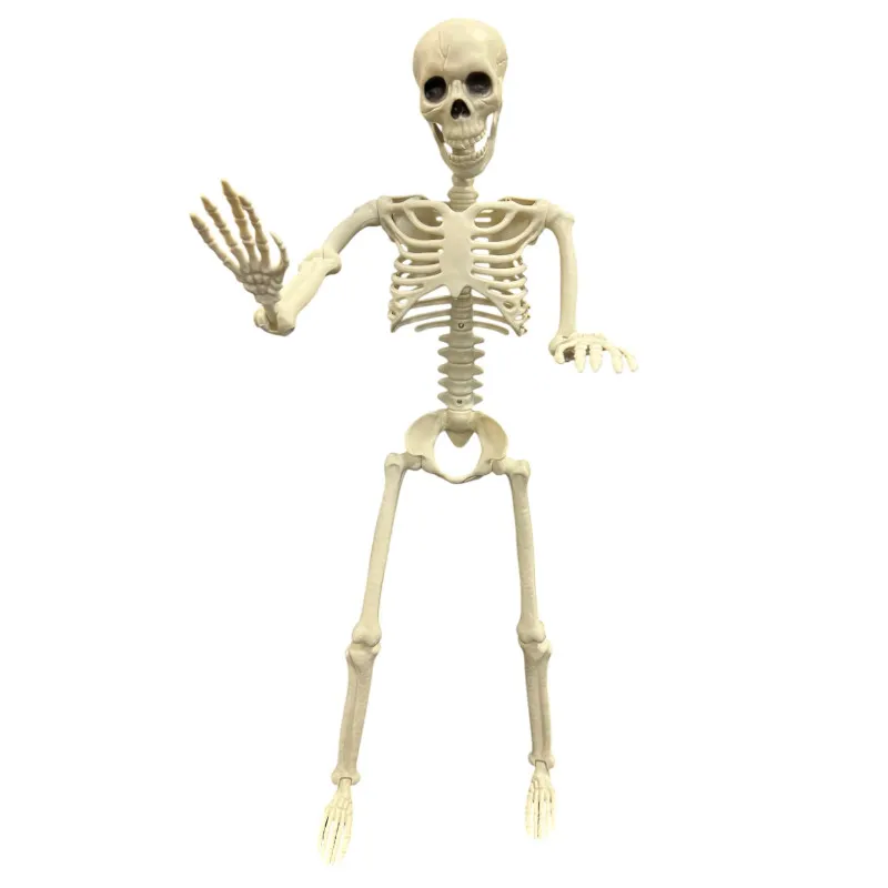 Skelett 90 cm beweglich