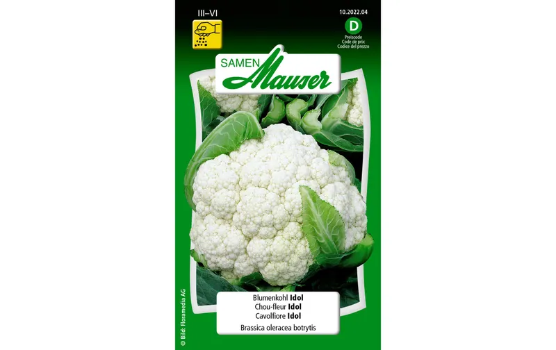 Samen Mauser Samen Blumenkohl Idol