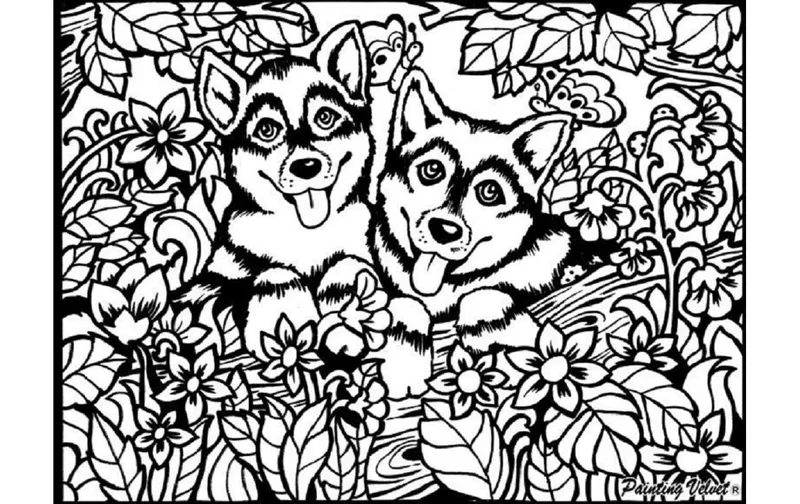 Tataruga Malset veloursbild Huskys A4