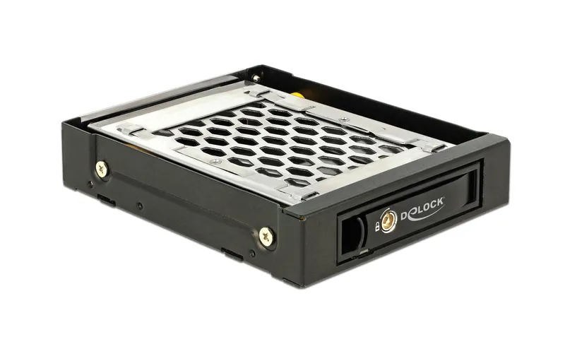 Delock Wechselrahmen 3,5" Mobile Rack pour 1x 2.5"