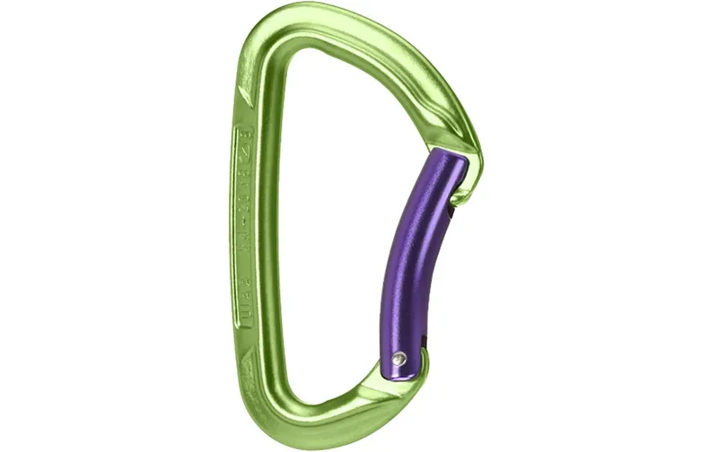 Wild Country Carabiner Session Bent Gate Grün