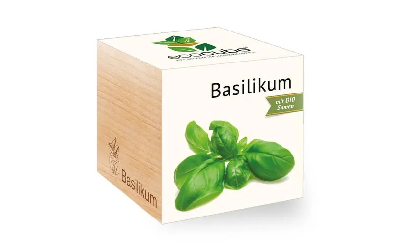 Feel Green Ecocube Basilikum BIO