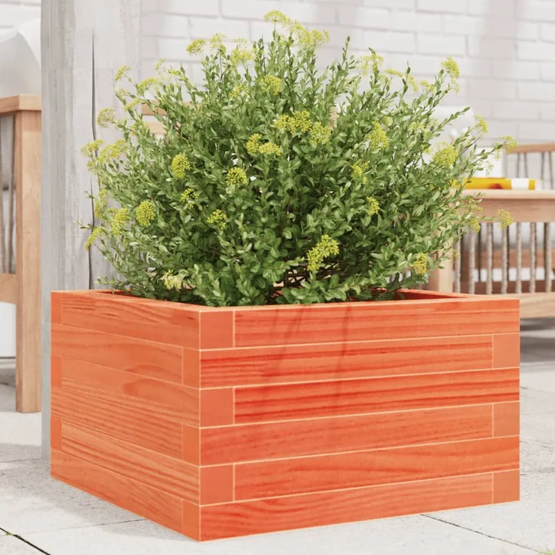 vaso Wachsbraun 40x40x23 cm legno massiccio pino