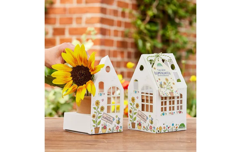 la Stadtgärtner Gewächshäuschen Sonnenblumen