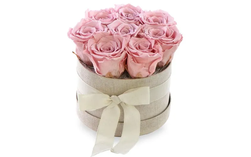 Soli Collection Trockenblumen Rosen 8 pezzi, Rosa