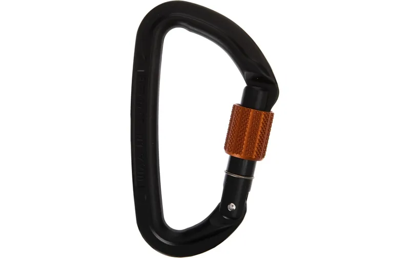 Wild Country Carabiner Session Screw Gate noir/brun