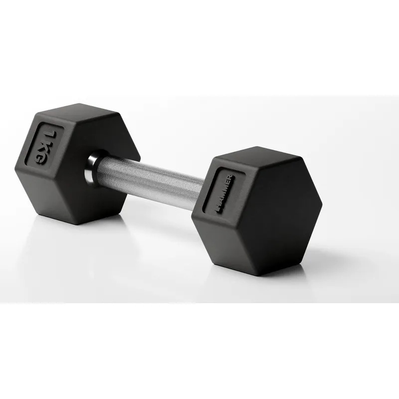 HAMMER Kurzhantel Hexagon PRO 1 x 1 kg