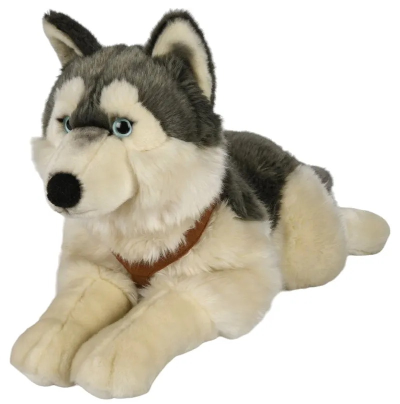 Plüsch Husky with Geschirr 62 cm