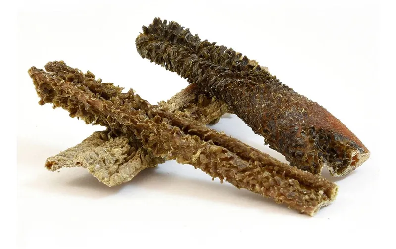 FRESCO Kausnack Lammpansen 500 g