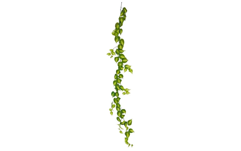Botanic-Haus Kunstpflanze Philodendron Scandens Brasil green, 180 cm