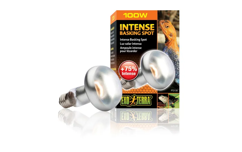 Exo Terra Terrarienlampe Intense Basking Spot E27, R25/100W