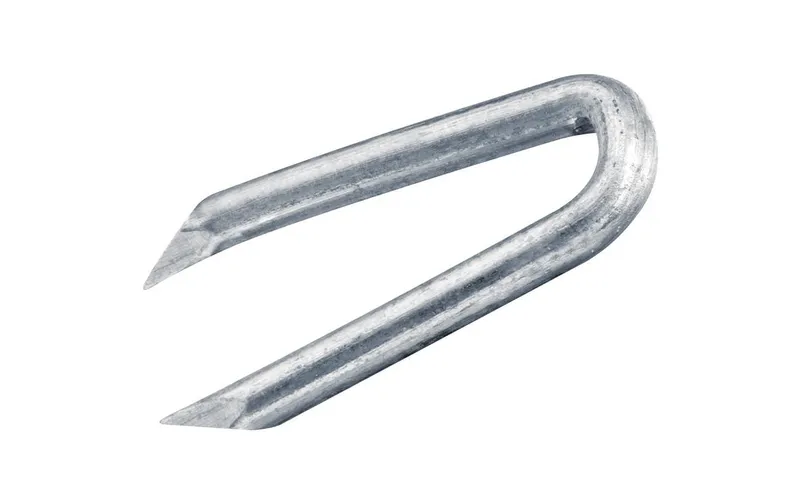 FTM Agraffe, steel verzinkt 2 x 20 mm, 50 pieces