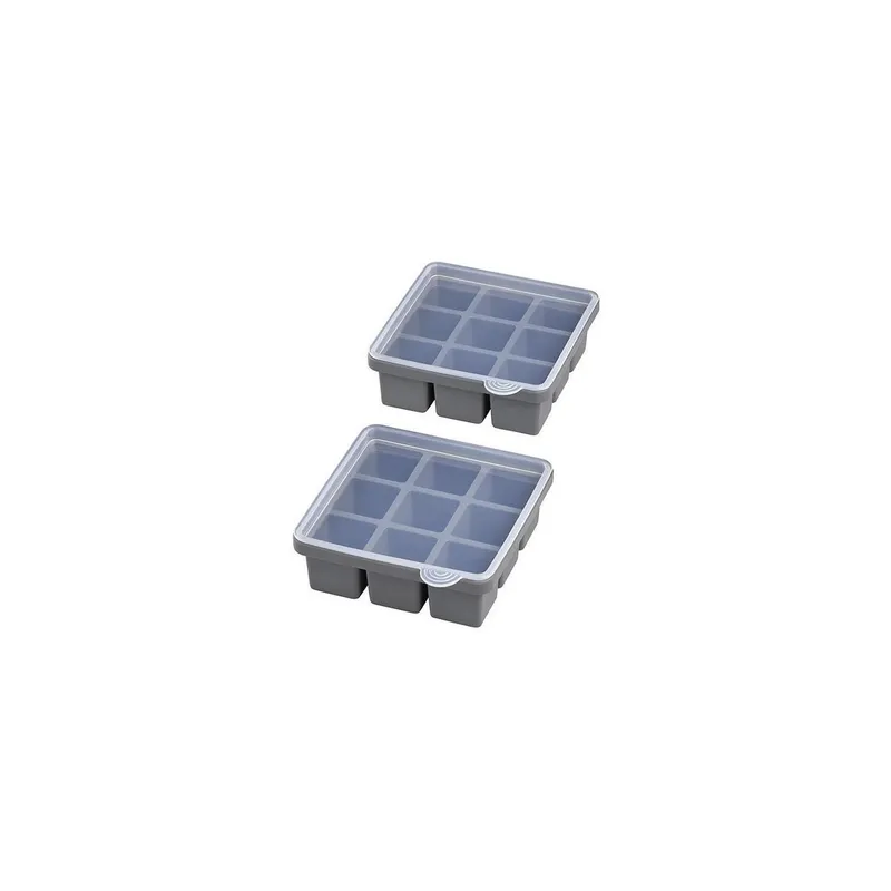 APS Eiswürfelform avec Deckel 2er Set