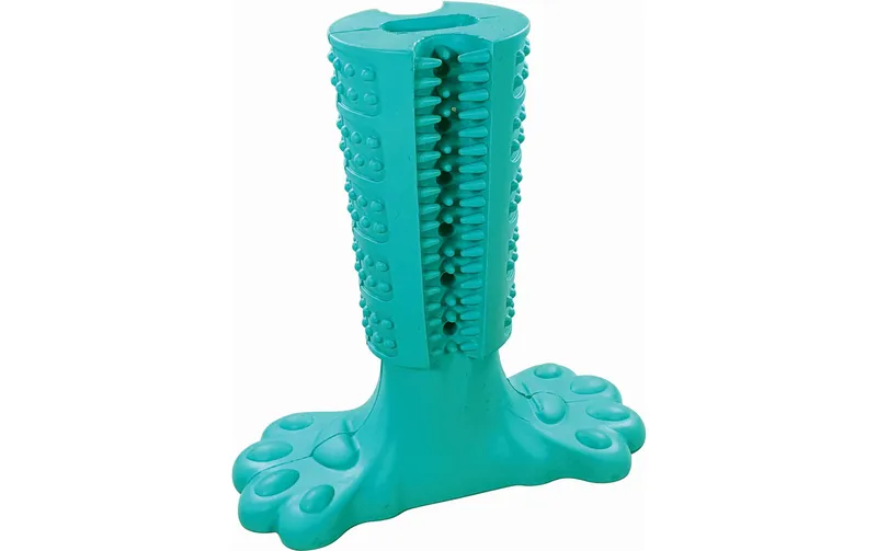 Nobby Hunde-Spielzeug Dental Stick, 13 x 14.5 cm, Mint