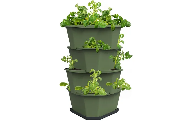 Gusta Garden Aufzuchttöpfe PAUL POTATO Starter, 4 Etagen, Dunkelgrün