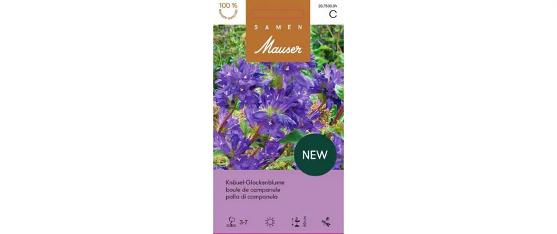 Samen Mauser Campanula glomerata