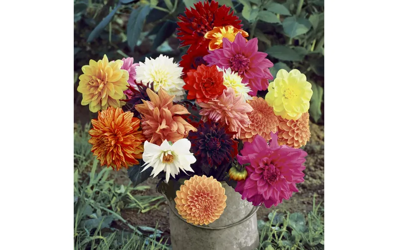 Paper + Design Papierservietten Floral Magic 33 cm x 33 cm, 20 pieces