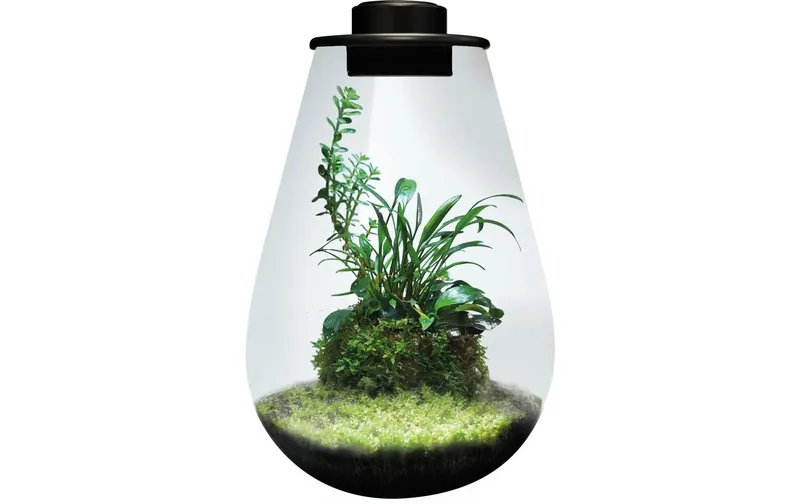 Bio Art Pflanzengefäss Drop 285 nero
