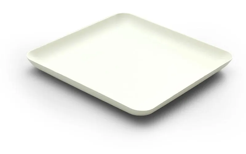 Sier Einwegteller Bagastro 16 cm x 1.5 cm x 16 cm, 40 pieces