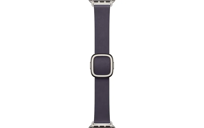 Apple Modern Buckle 42 mm Purple Large