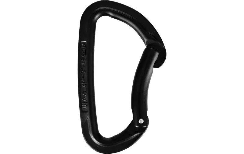 Wild Country Carabiner Session Bent Gate Schwarz