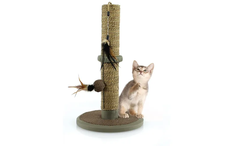 SwissPet Kratzmöbel naturaleo, 50 cm, marrone