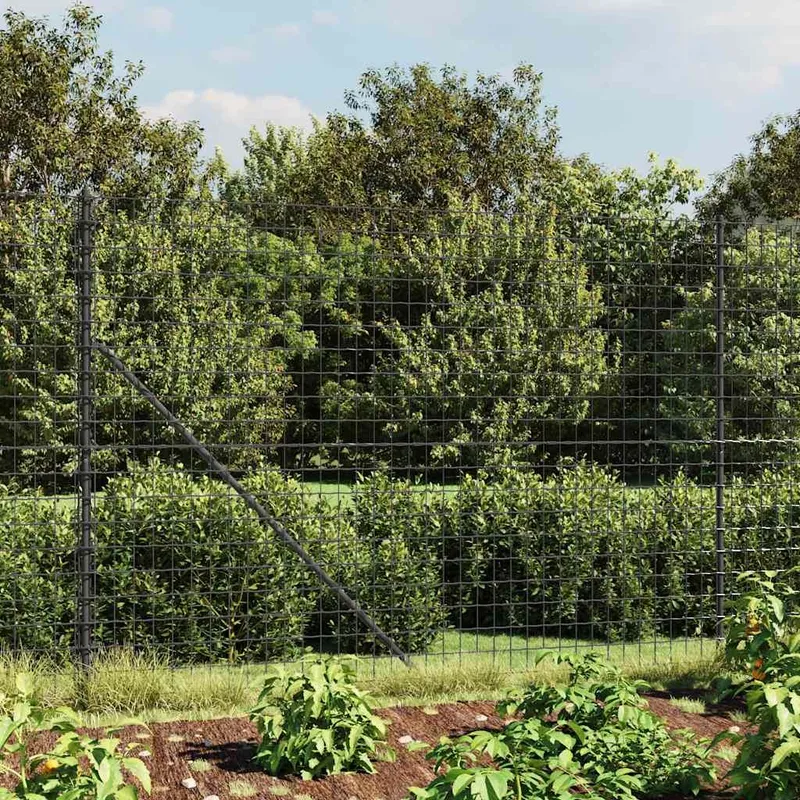 Maschendrahtzaun mit Bodenhülsen antracite 1,4x25 m