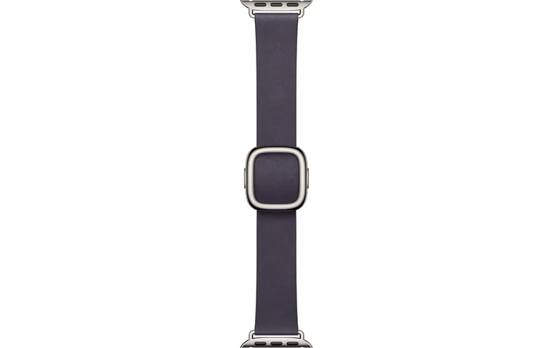 Apple Modern Buckle 42 mm Purple Medium