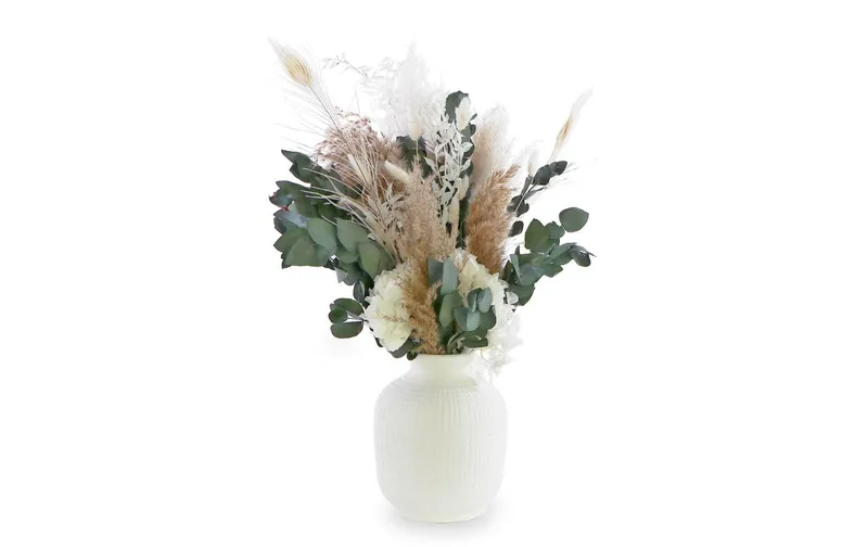 Soli Collection Trockenblumen Lara 60 cm, blanc/vert