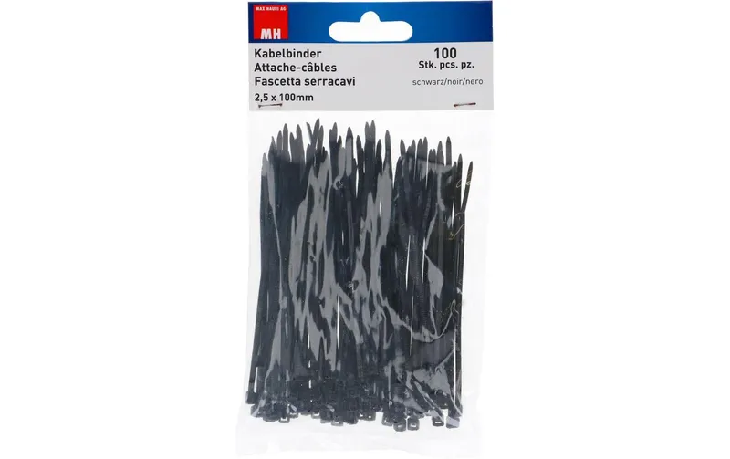 Max Hauri Kabelbinder 100 Stück Schwarz 100 mm x 2.5 mm