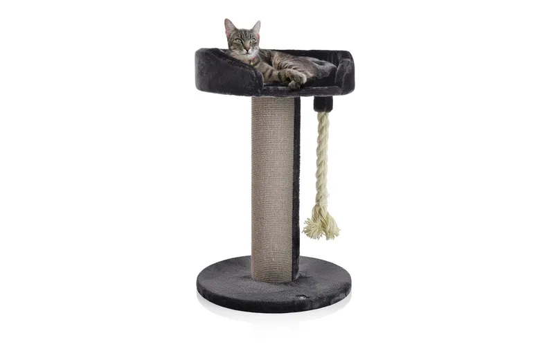 CanadianCat Kratzbaum Lounge Ontario 1, Grau