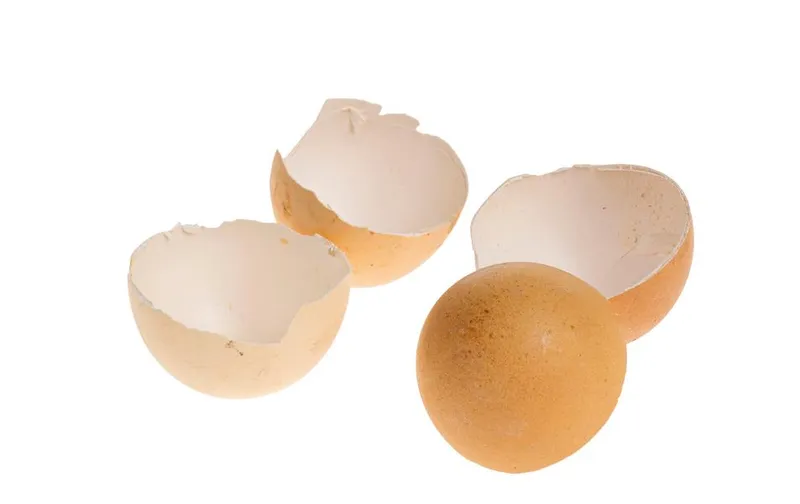 Opiflor Osterei-Schale 200 g, naturel-brun