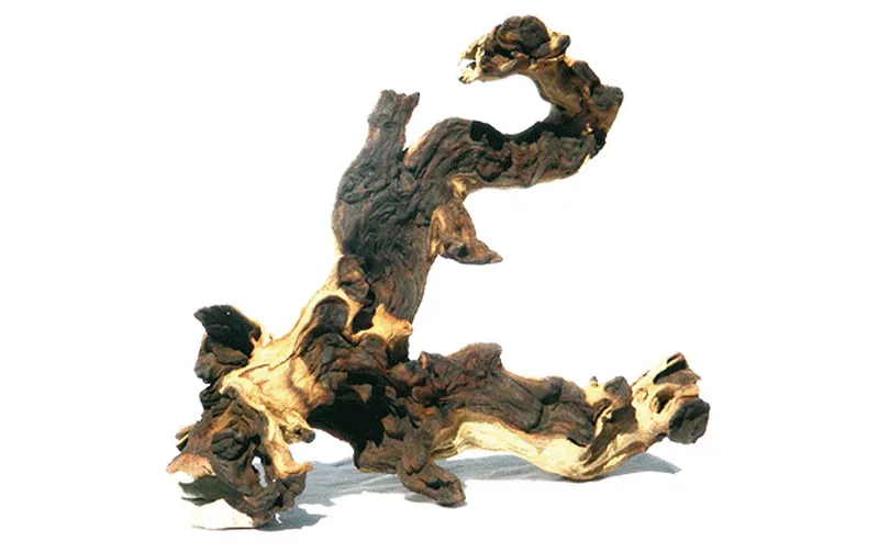 AMAZONAS Dekoration Mopani Holz M, 30-35 cm