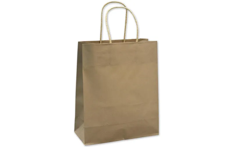 ELCO Geschenktasche 22 x 10 x 27 cm, 25 Stück, Platin